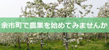 余市町で農業を始めてみませんか