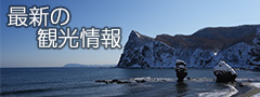 最新の観光情報