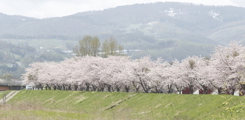イベントの画像