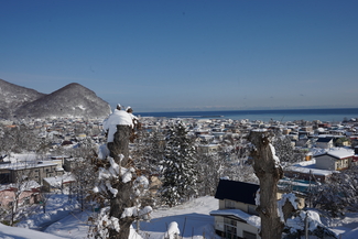 円山公園からの眺め