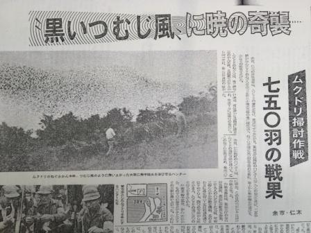 写真：「黒いつむじ風に暁の奇襲」の記事(昭和42年9月3日)