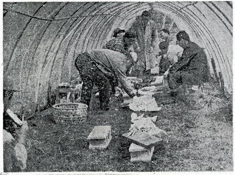 三愛農場が観光用として園内に設けた　　 ビニールハウス（昭和39年４月30日の新聞記事）