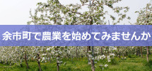 余市町で農業を始めてみませんか